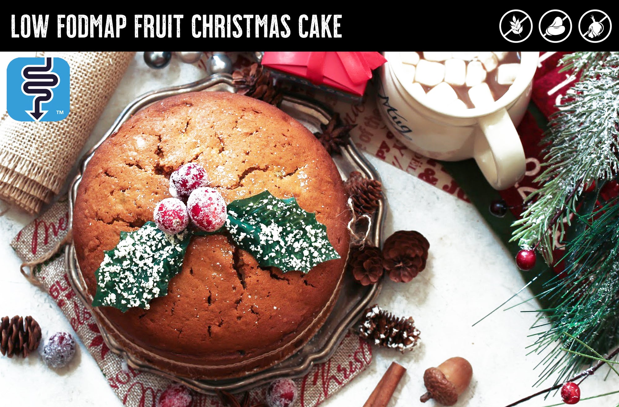Monash University Low FODMAP Christmas Fruit Cake