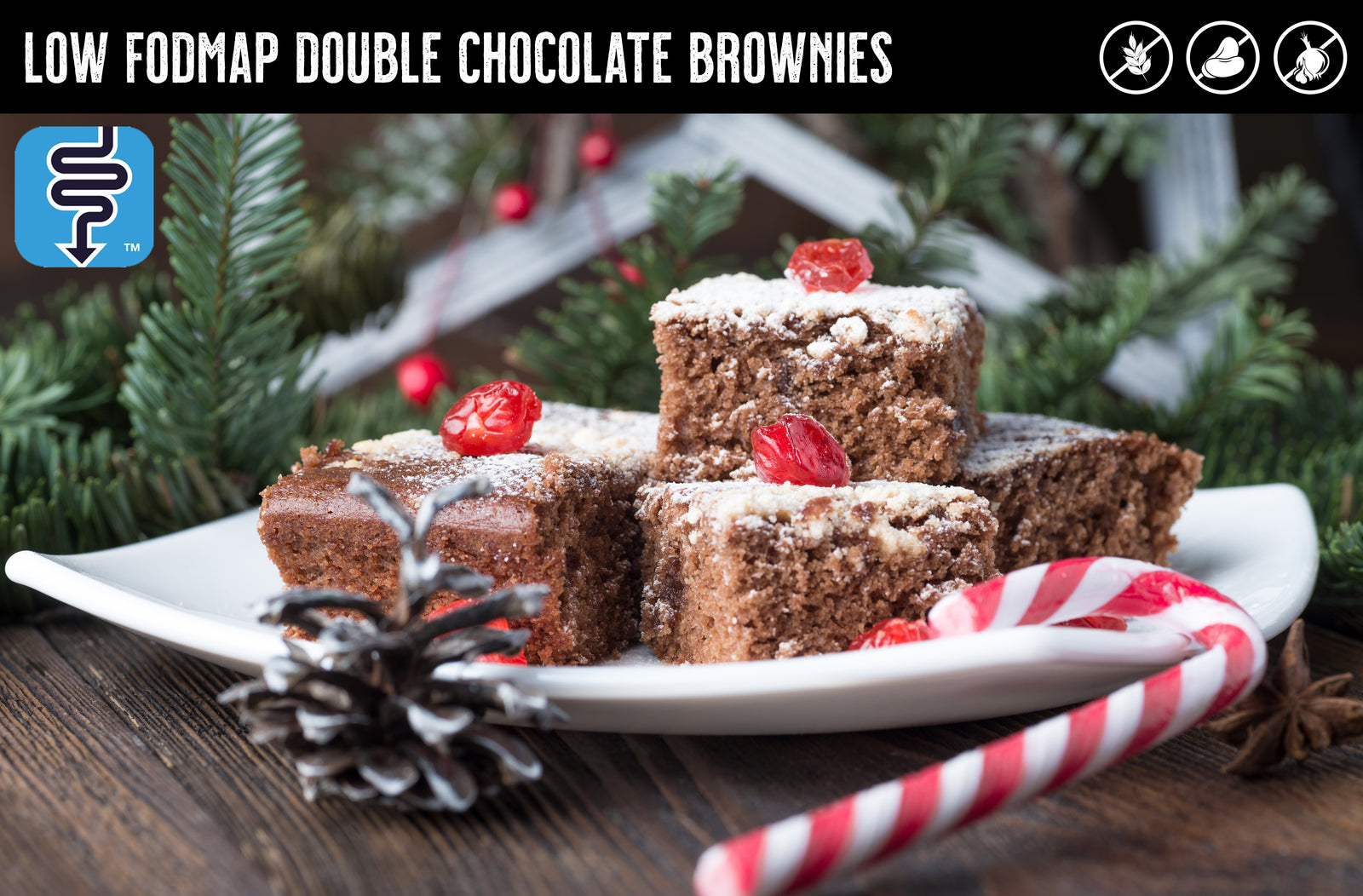 MONASH UNIVERSITY LOW FODMAP DOUBLE CHOCOLATE BROWNIES