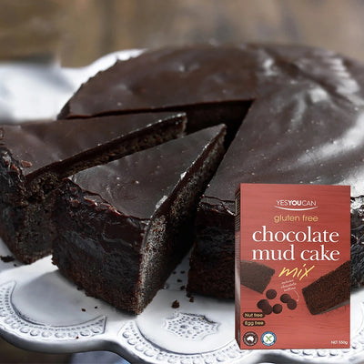 Yes You Can - Choc Mud Cake Mix With Ganache Icing 600g